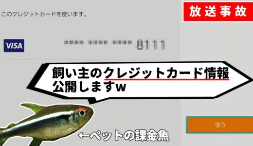 ライブ配信でペットの魚にクレジットカード情報を公開され、挙句の果てに決済されてしまった件について