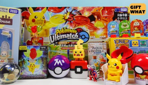 Pokemon Holiday Collection 【 GiftWhat 】